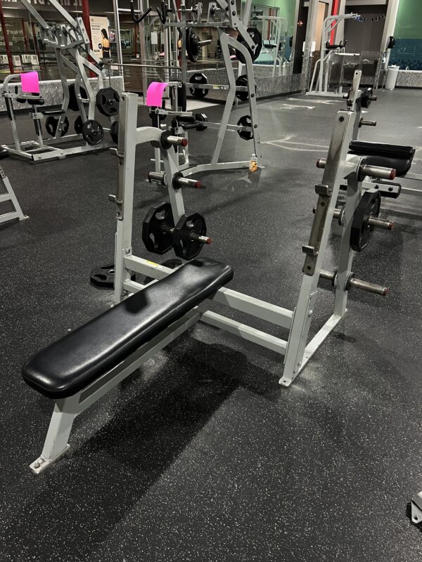 Flex Fitness Bench Press