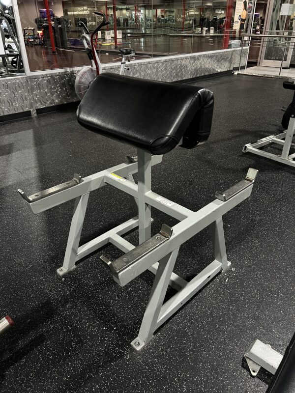 Flex Fitness Standing Preacher Curl