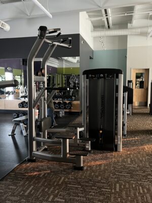 Life Fitness Assisted Pullup/Dip