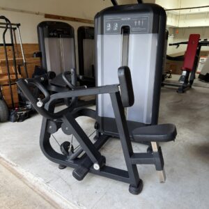 Invincible Fitness Vertical Row