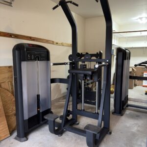 Invincible Fitness Dip/Chin Assist