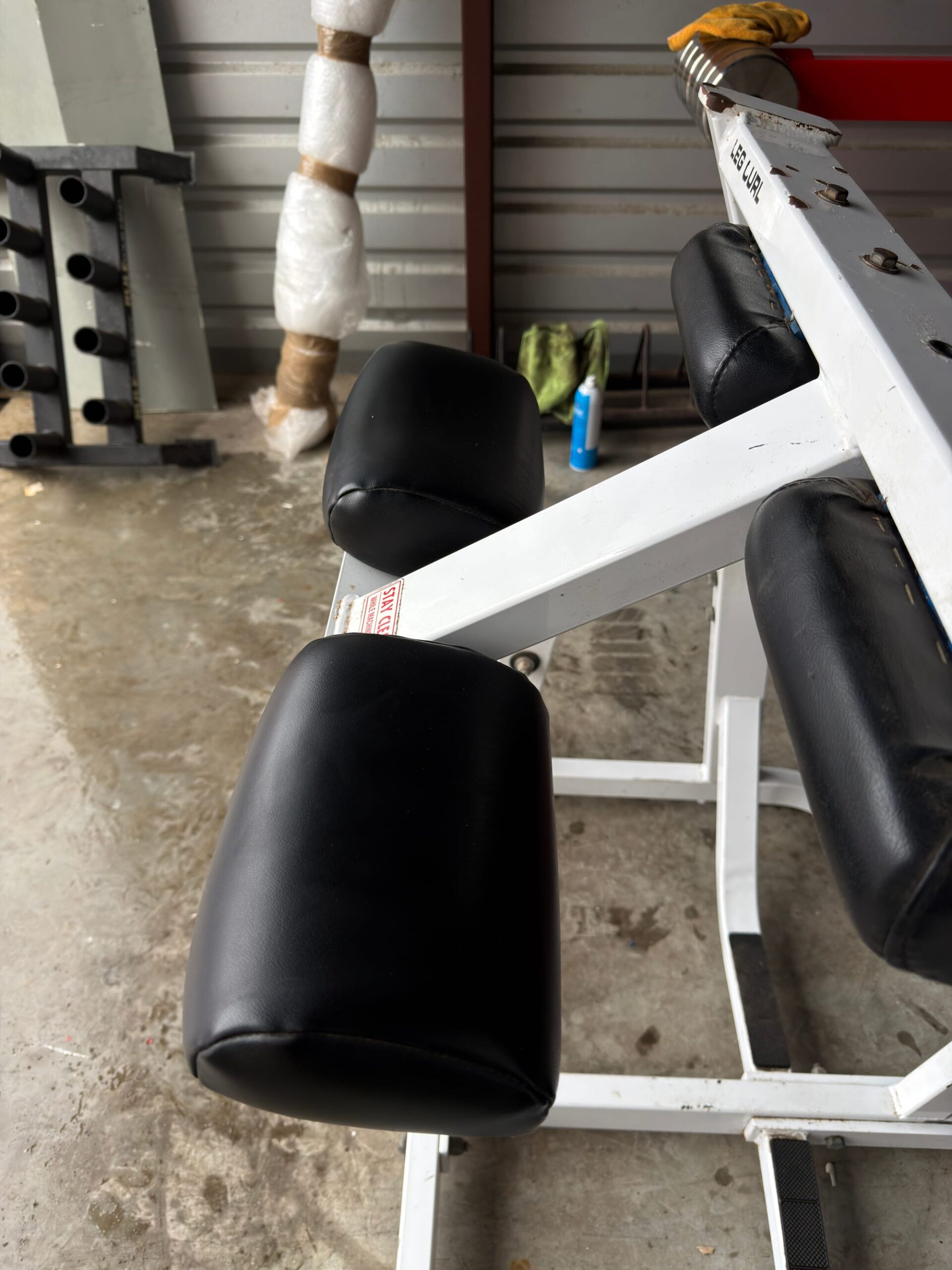 Hammer Strength PL Leg Curl