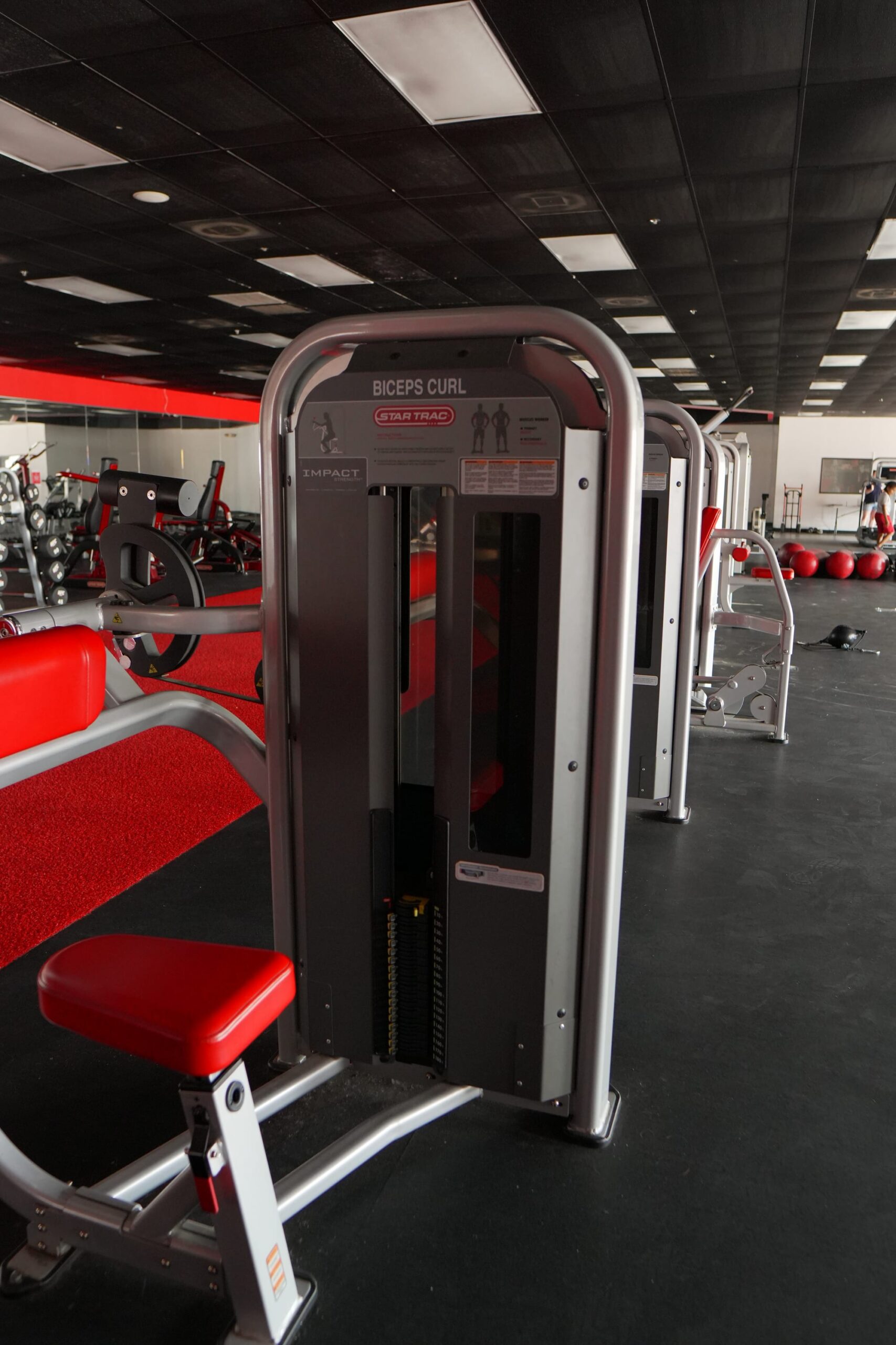 Star Trac Bicep Curl