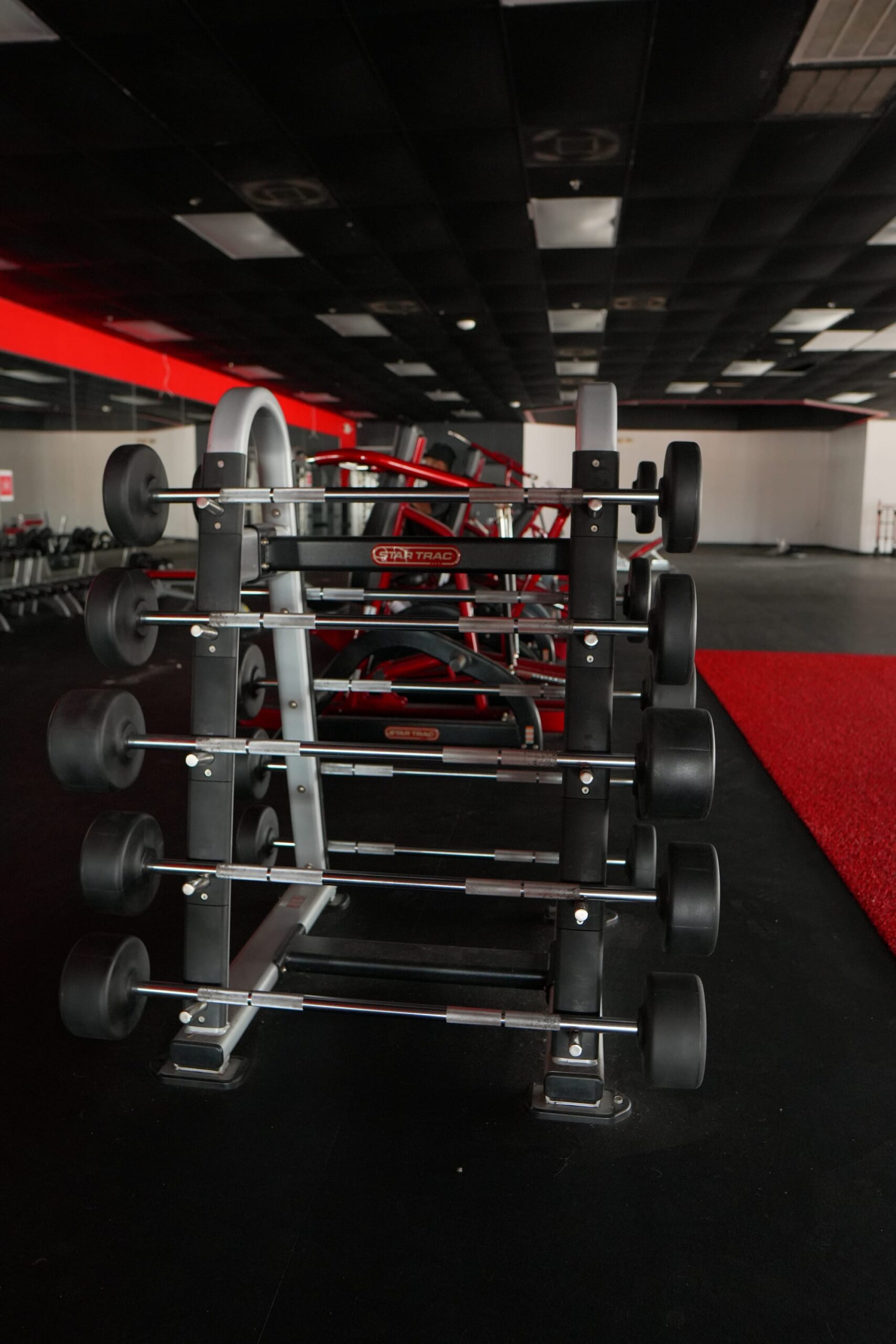 UFC Gym Fixed Barbell Set w/Rack